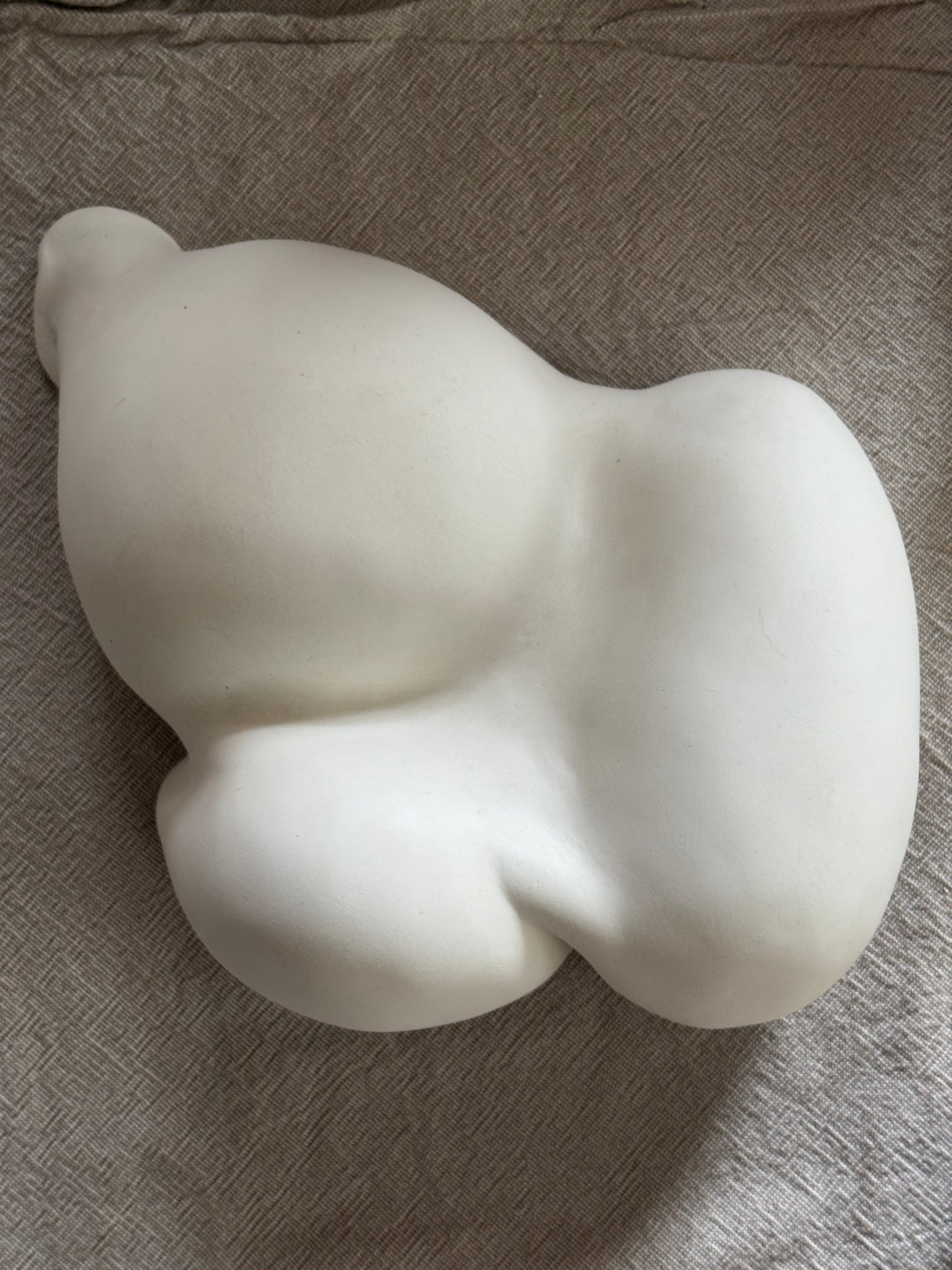 Fluid wall sculp